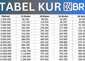 Cicilan KUR BRI 2025 Rp200 Juta, Segini Angsurannya