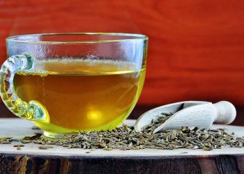 Turunkan Berat Badan Secara Alami! Coba 7 Minuman Diet Ini Setiap Pagi