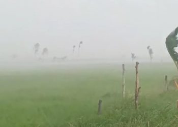 Cuaca Ekstrem 8 Oktober, BMKG: Puluhan Kota Berpotensi Diguyur Hujan.