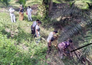 Mayat Pria Ditemukan di Kebun Karet Merangin, Warga Gading Jaya Geger