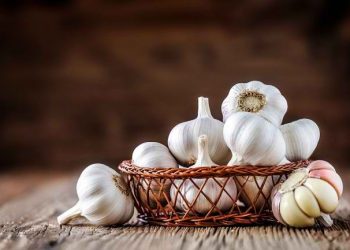 22 Khasiat Luar Biasa Bawang Putih untuk Tubuh — Lebih dari Sekadar Bumbu Dapur