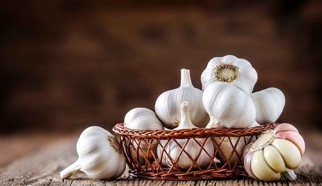 22 Khasiat Luar Biasa Bawang Putih untuk Tubuh — Lebih dari Sekadar Bumbu Dapur
