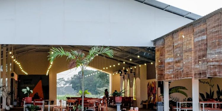 Bento Kopi Warungasem Batang: Tempat Nongkrong Estetik dengan View Persawahan dan Harga Ramah di Kantong