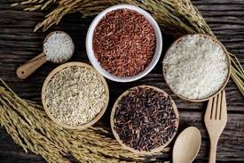 7 Karbohidrat Pengganti Nasi yang Lebih Sehat Coba dan Rasakan Bedanya!