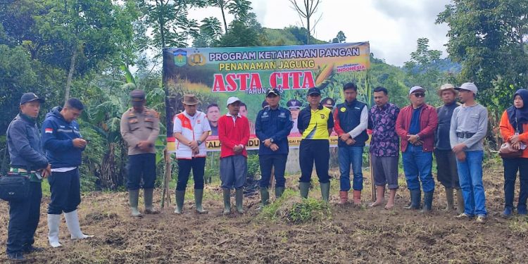 Program Asta Cita, Kelompok Tani Adil Makmur Mulai Tanam Jagung di Talang Lindung