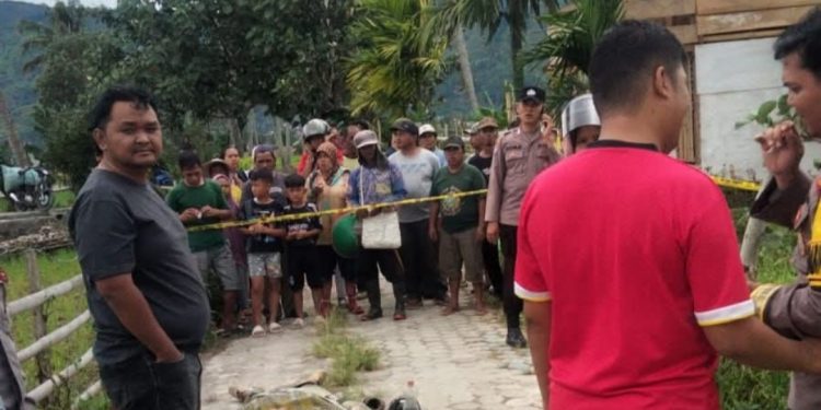 Warga Tanah Kampung Geger! Mayat Pria Dewasa Ditemukan di Pinggir Sawah Desa Sembilan