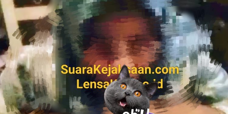 Viral di Medsos: Guru PPPK Jadi Sorotan Usai Video Mesum Beredar