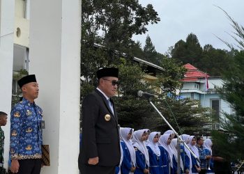 wako alfin pimpin upacara peringatan hari pahlawan