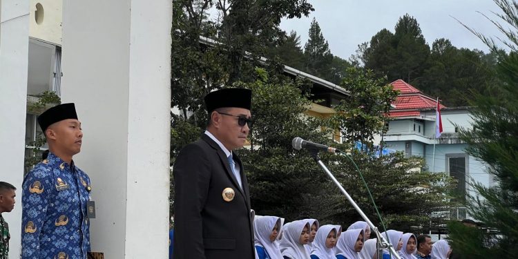 wako alfin pimpin upacara peringatan hari pahlawan