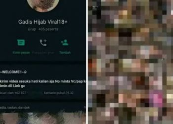 Info Grup WhatsApp Viral Terbaru: Klik dan Gabung Sekarang!