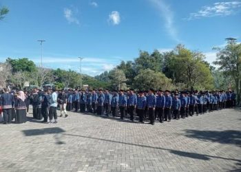 Akhirnya,…! Pelantikan PPPK Paruh Waktu Kota Sungai Penuh Dijadwalkan Besok