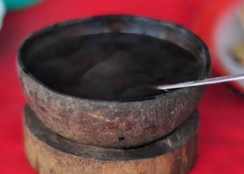 Manfaat Minum Air Daun Kopi untuk Kesehatan Tubuh