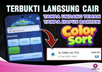 Aplikasi Color Sort 2026 Diklaim Bisa Cairkan Saldo DANA Rp300 Ribu, Fakta atau Sekadar Umpan?