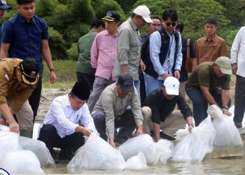 Gubernur Jambi dan KMH Tebar Benih Ikan di Danau Kerinci