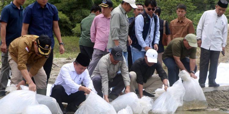 Gubernur Jambi dan KMH Tebar Benih Ikan di Danau Kerinci