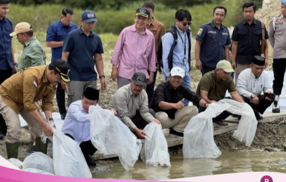 Bupati Monadi Dampingi Gubernur Al Haris Tebar 10 Ribu Benih Ikan di PLTA Danau Kerinci
