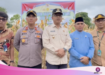 Wabup Murison Hadiri Panen Raya Jagung Serentak Polres Kerinci, Perkuat Sinergi Dukung Swasembada Pangan