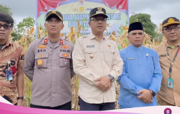 Wabup Murison Hadiri Panen Raya Jagung Serentak Polres Kerinci, Perkuat Sinergi Dukung Swasembada Pangan