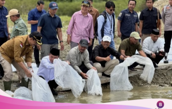 PT KMH dan Gubernur Jambi Tebar Benih Ikan di Danau Kerinci