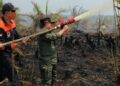 Turun Langsung Padamkan Karhutla di Air Merah, Gubernur Al Haris: Api Sudah 3 Hari, Gambut Sulit Dipadamkan