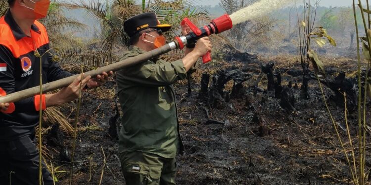 Turun Langsung Padamkan Karhutla di Air Merah, Gubernur Al Haris: Api Sudah 3 Hari, Gambut Sulit Dipadamkan